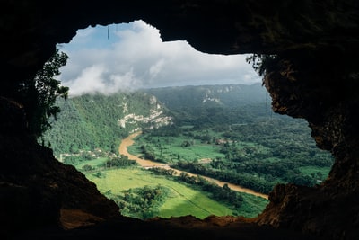 棕色洞穴，白天可以俯瞰森林
